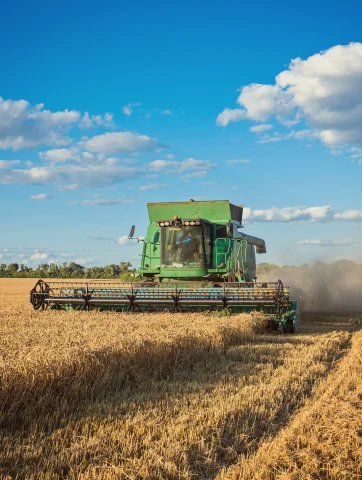 Imagem card atuação