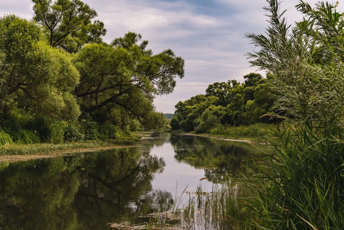 Imagem ilustrativa de Intervenção em app