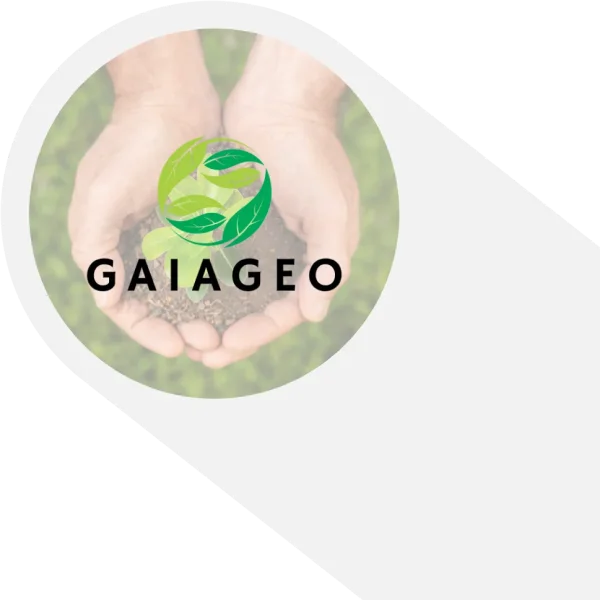Logo da gaiageo
